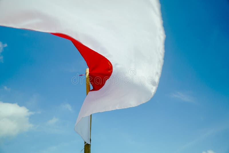 Bendera merah putih background