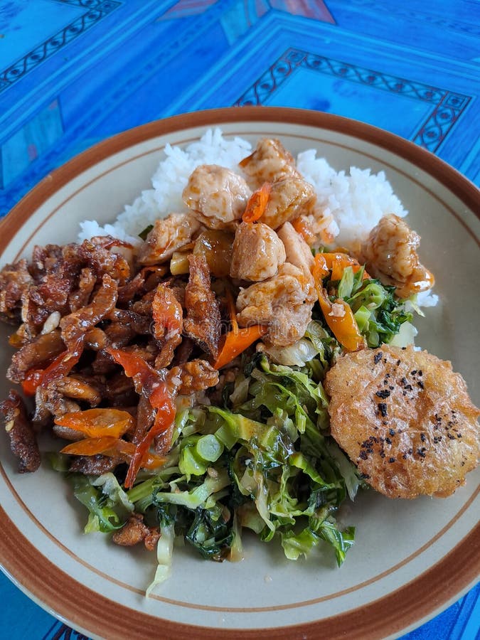 Indonesian Local Food with Various Menu on the Plate Stock Image