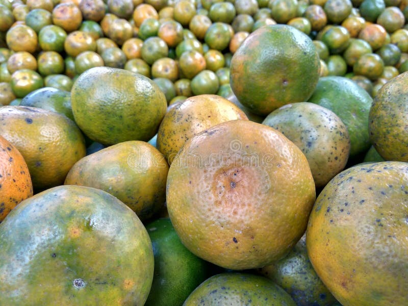 Indonesian orange stock image. Image of orange, fruit 100950021