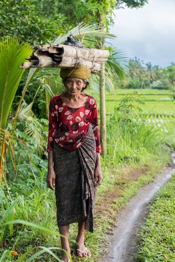 Indonesian Woman Farmer Walking Through The Rice Fields In Ubud Bali Editorial Image Image Of