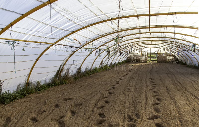 Indoor Abandoned Greenhouse stock images