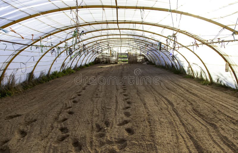 Indoor Abandoned Greenhouse royalty free stock photos