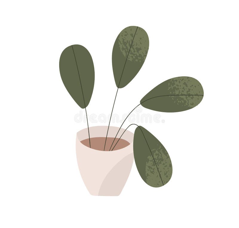 Green Houseplant in a Pot. Vector Illustration. Stock Vector ...