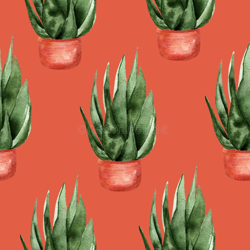 Indoor succulents on red background watercolor seamless pattern. Template for decorating designs and illustrations stock images