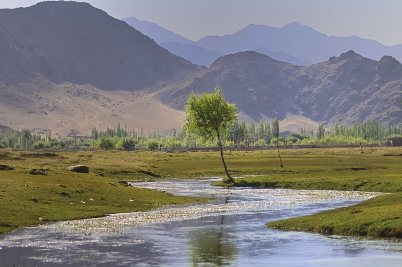 Indusrivier die door vlaktes in Ladakh, India vloeien