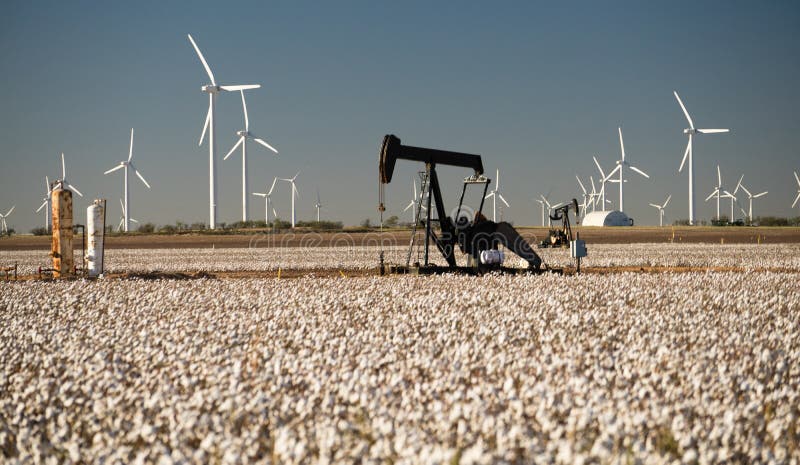 Industria petrolifera di Texas Cotton Filed Textile Agriculture PumpJack fotografia stock Industria petrolifera di Texas Cotton Filed Textile Agriculture PumpJack fotografia stock