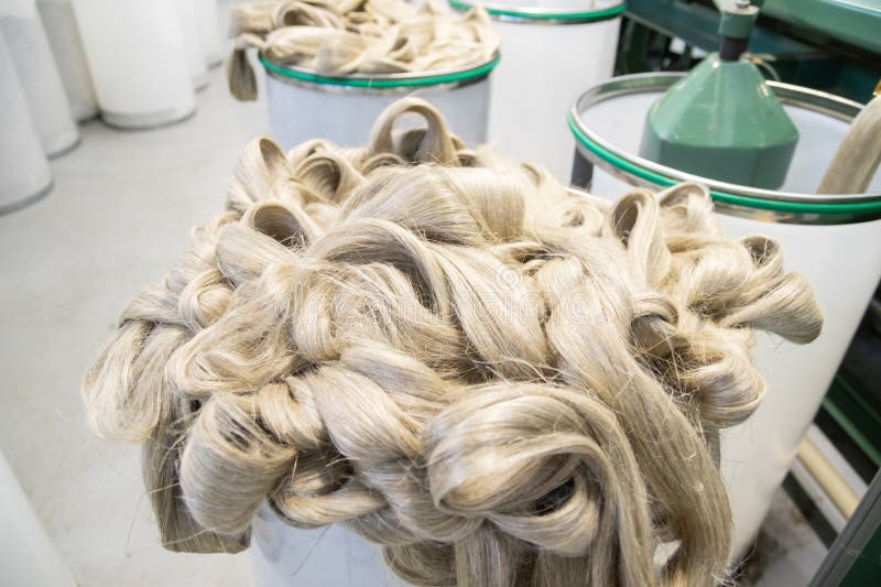 Industrial loom on textile. Flax processing plant, fabric production. Flax is made. A workshop at a textile factory. stock photo