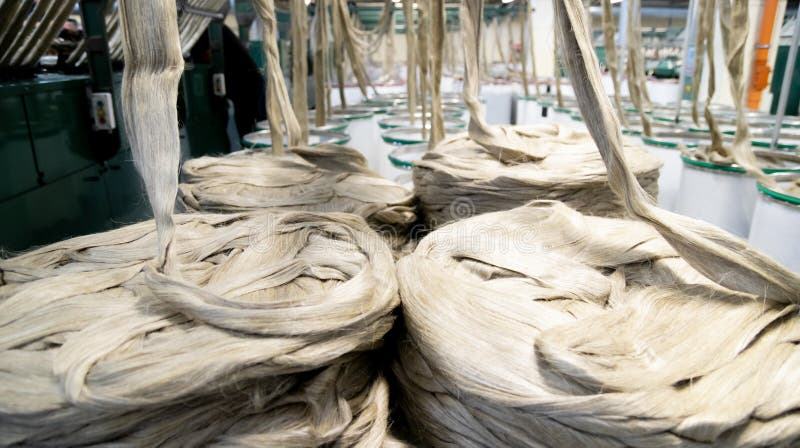 Industrial loom on textile. Flax processing plant, fabric production. Flax is made. A workshop at a textile factory. royalty free stock photography