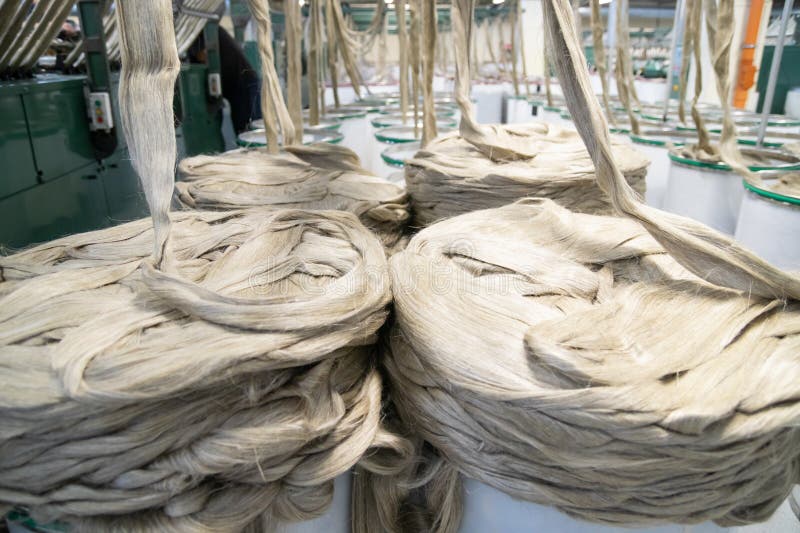 Industrial loom on textile. Flax processing plant, fabric production. Flax is made. A workshop at a textile factory. royalty free stock images