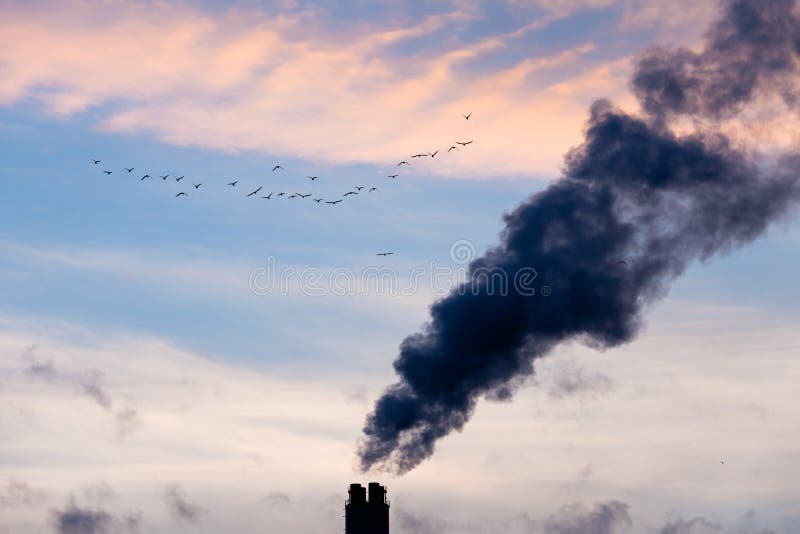 Industrial pollution chimneys and wildlife concept