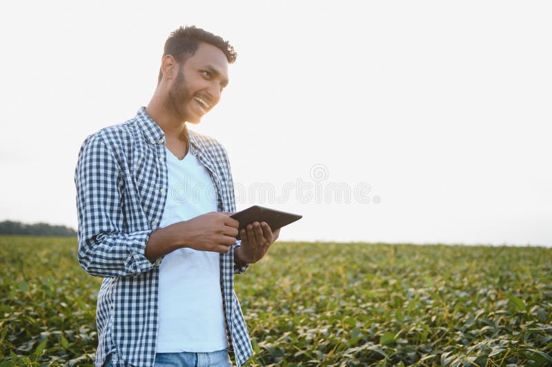 An Indian farmer in a soybean field. An Indian farmer in a soybean field