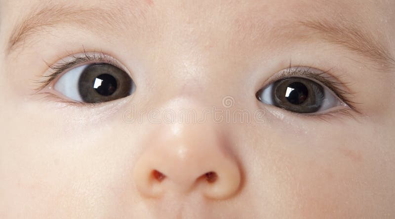 Infant s eyes