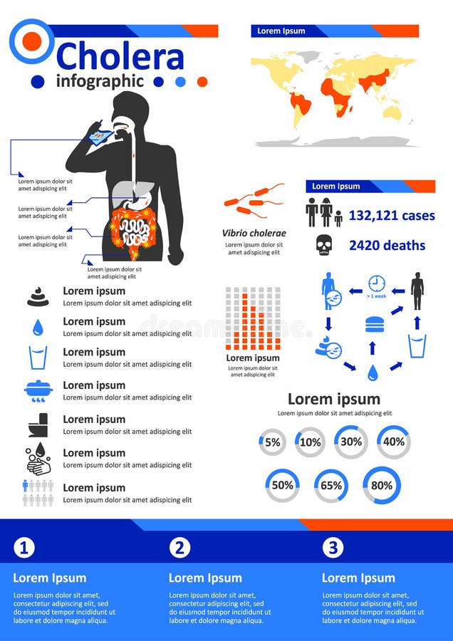 Simple flat style infographics components for health education poster about cholera, infectious disease caused by Vibrio cholerae bacteria. Simple flat style infographics components for health education poster about cholera, infectious disease caused by Vibrio cholerae bacteria.