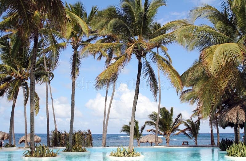 Infinity Pool stock images