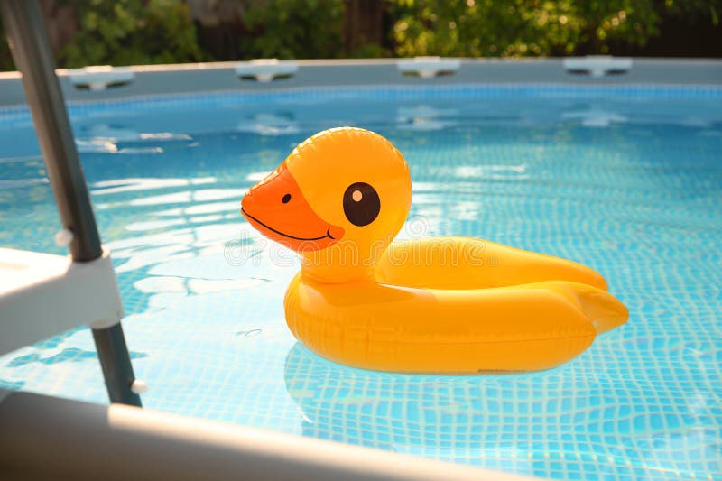 Inflatable duck shaped ring on water in above ground swimming pool outdoors royalty free stock image