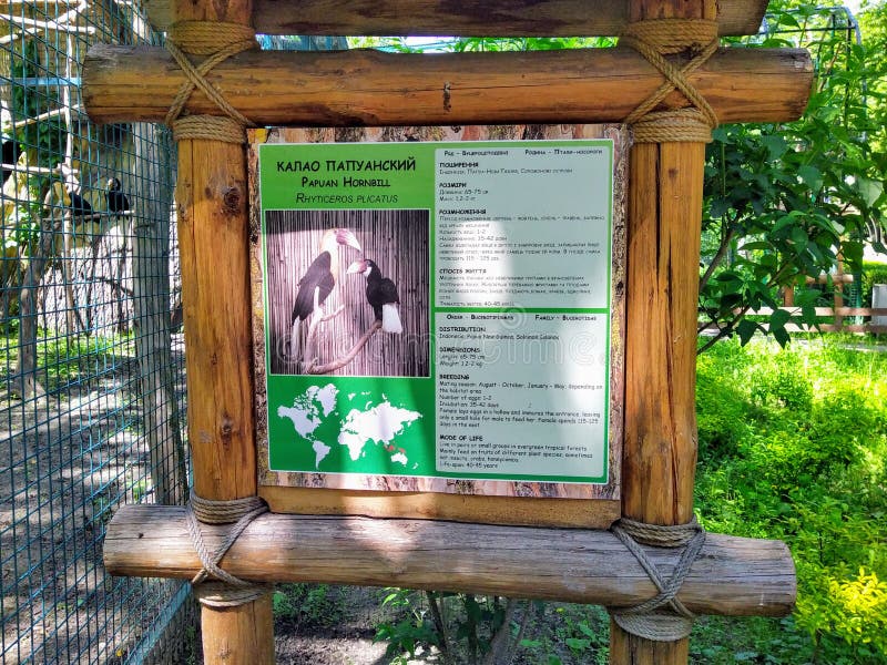 Info of papuan hornbill on info board in zoo. Information of papuan hornbill on wooden info board in city zoo, Kyiv, Ukraine royalty free stock photo Info of papuan hornbill on info board in zoo. Information of papuan hornbill on wooden info board in city zoo, Kyiv, Ukraine royalty free stock photo