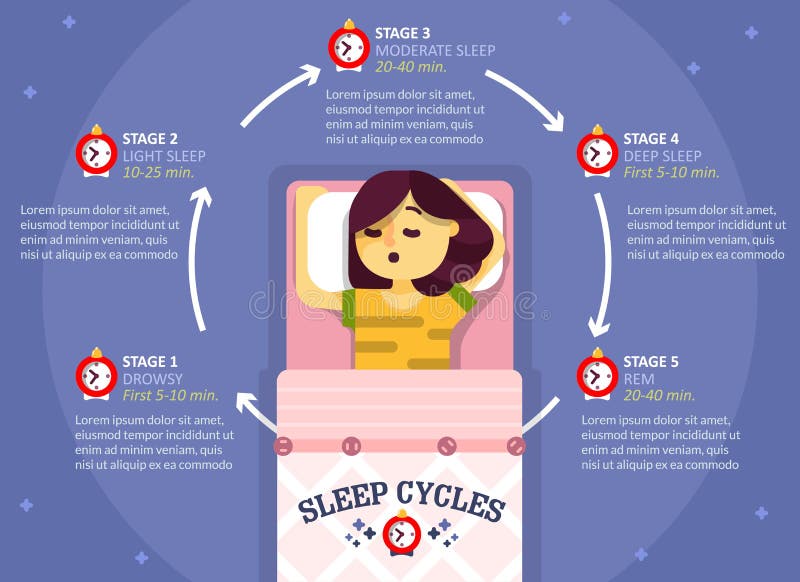 Sleep cycle infographics, vector flat illustration. Healthy sleep phases education diagram, scheme. Poster with sleeping girl and description of sleep stages. Sleep cycle infographics, vector flat illustration. Healthy sleep phases education diagram, scheme. Poster with sleeping girl and description of sleep stages.