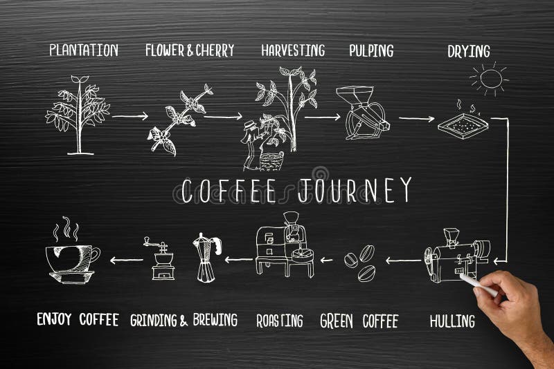 journey canvas coffee