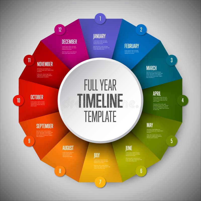Infographic Full Year Timeline Template Stock Vector Illustration Of