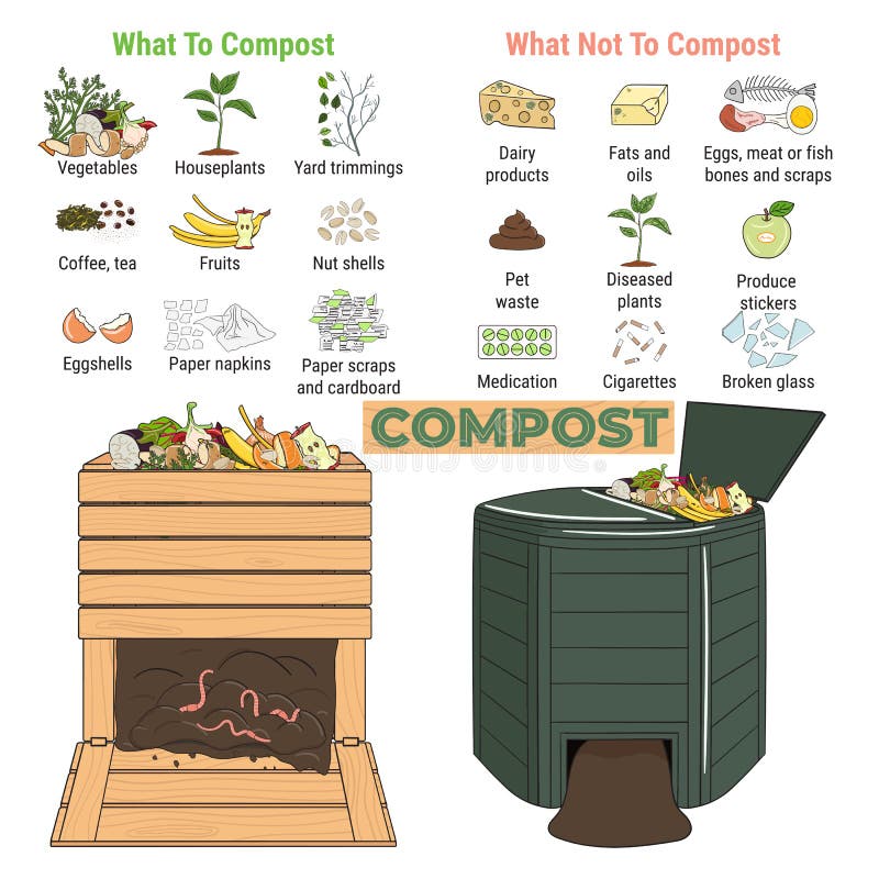 Infographic of Garden Composting Bin with Scraps. What To Compost ...