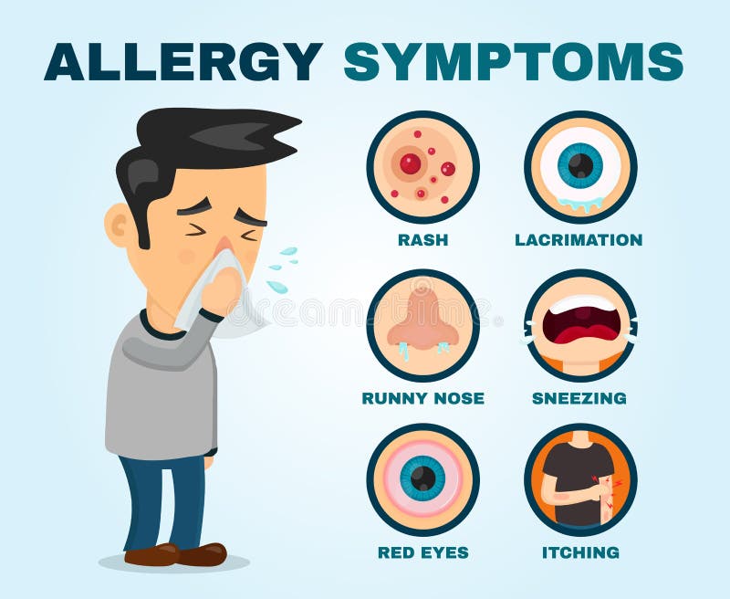 Infographic het probleem van allergiesymptomen Vector