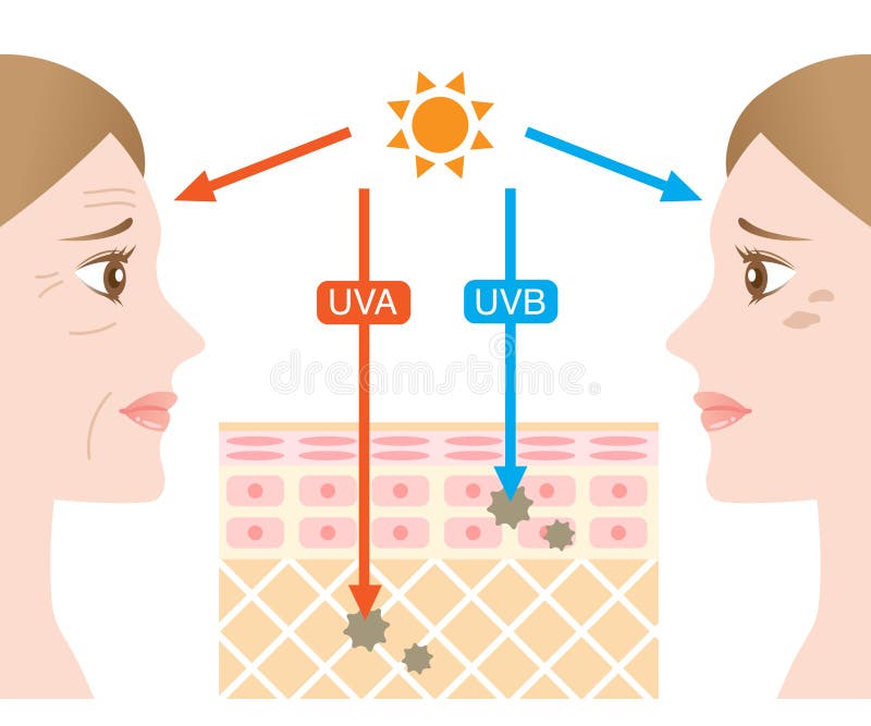 Uvb Stock Illustrations – 765 Uvb Stock Illustrations, Vectors ...