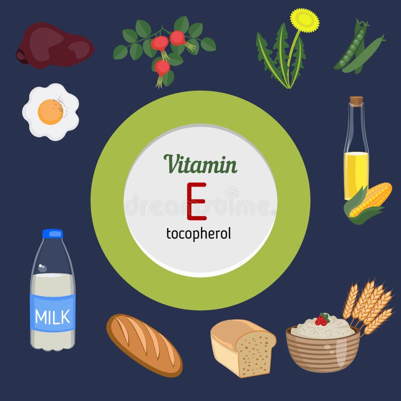 Infographic vitamin E vektor illustrationer. Illustration av