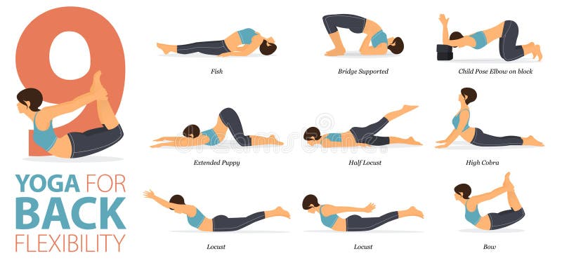 Flexibility Stretches