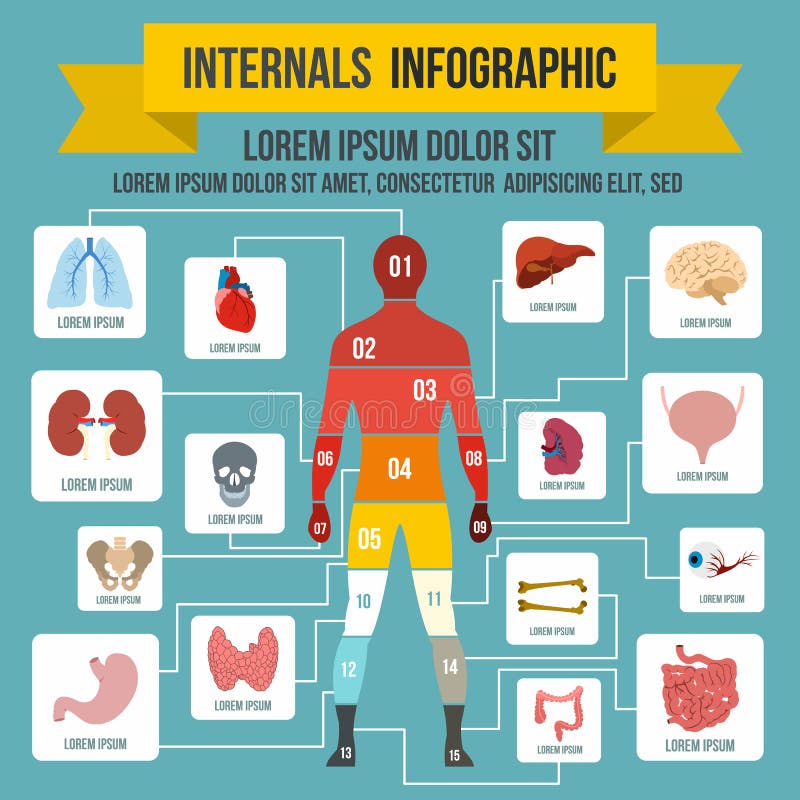 Infographic στοιχεία Internals, επίπεδο ύφος ελεύθερη απεικόνιση δικαιώματος Infographic στοιχεία Internals, επίπεδο ύφος ελεύθερη απεικόνιση δικαιώματος