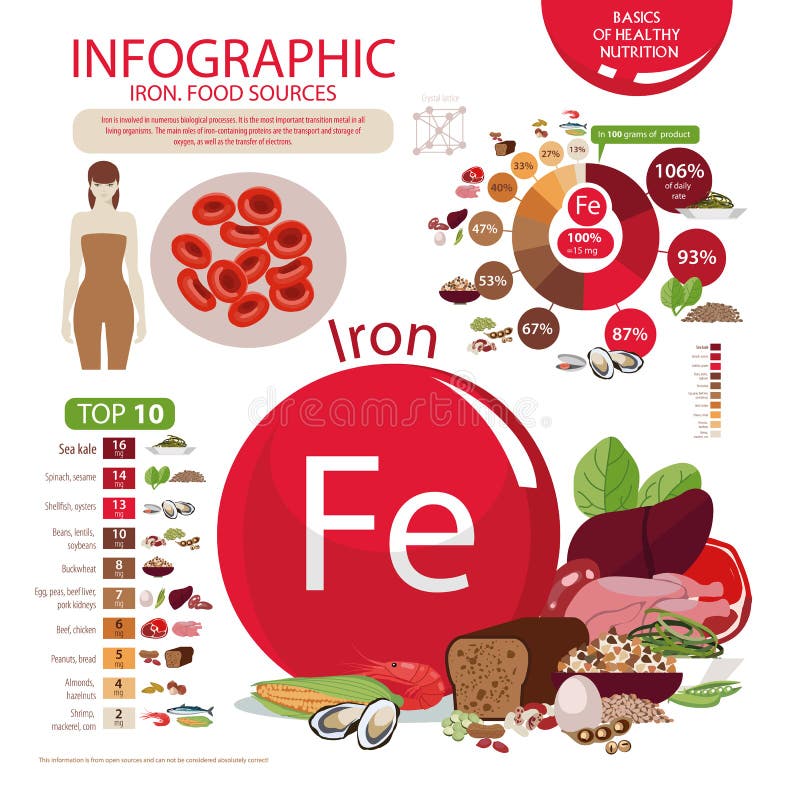 Infographics of the Content of Iron in Natural Organic Food Stock ...
