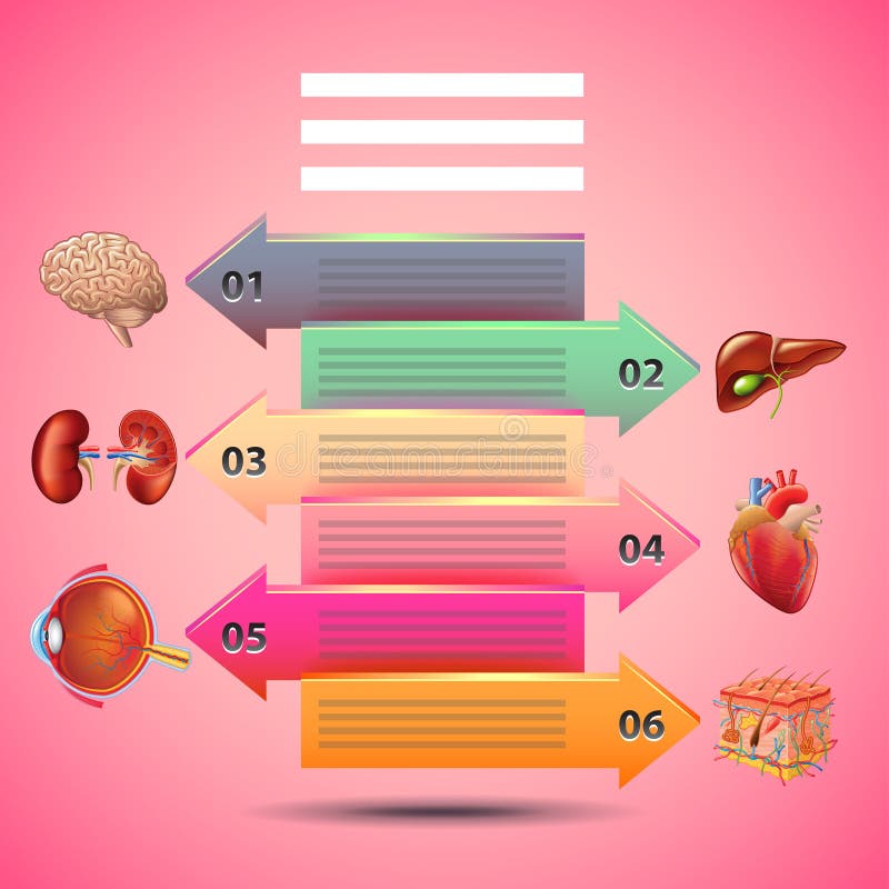 Infographics de la Science avec des flèches et des organes humains, fond rose illustration stock Infographics de la Science avec des flèches et des organes humains, fond rose illustration stock