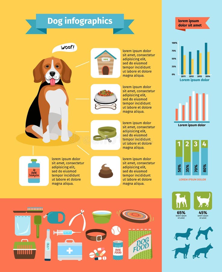 Infographics do cão ilustração royalty free Infographics do cão ilustração royalty free