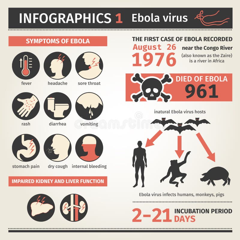 Infographics. Ebola virus. Symptoms deaths. stock illustration