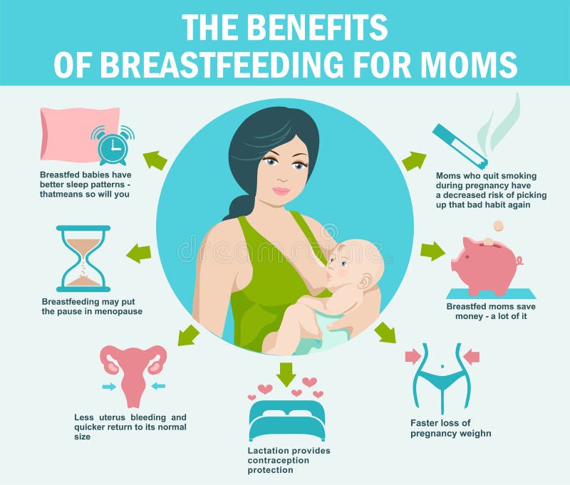 Nos Infographies De L'allaitement Maternel