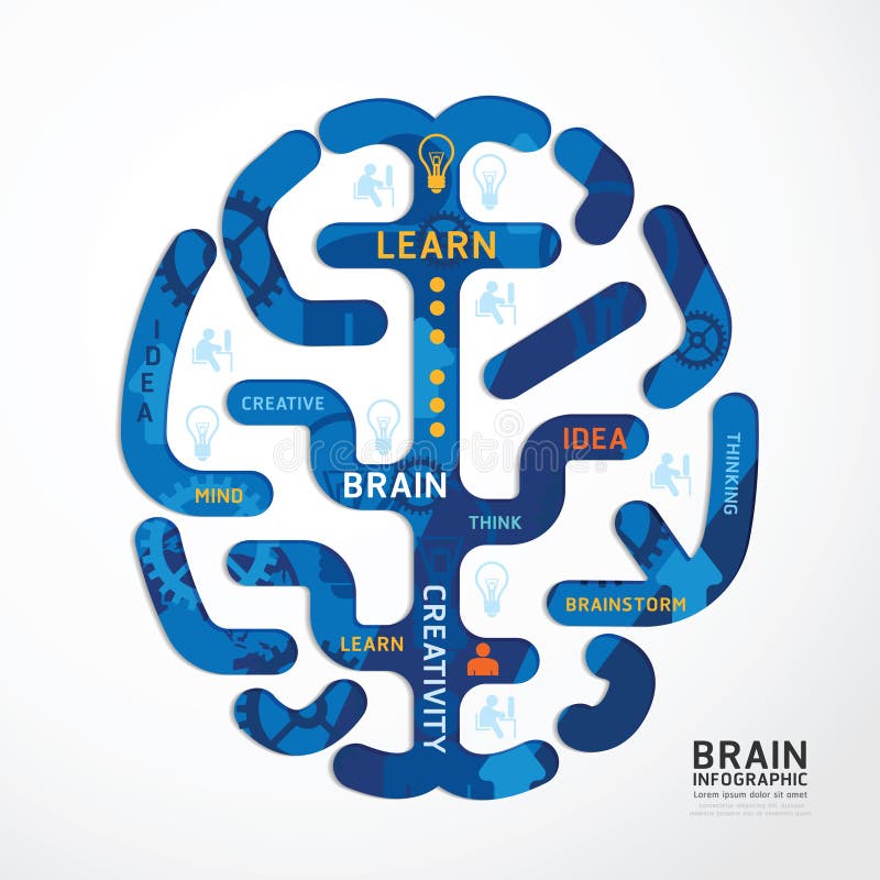 Infographics vector brain design diagram line style template