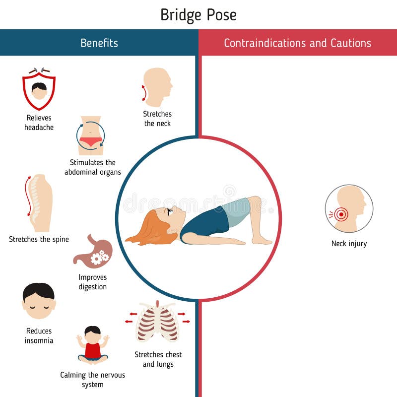 How to do Setu Bandhasana- Bridge Pose? | Kaivalyadhama Yoga Institute -  YouTube