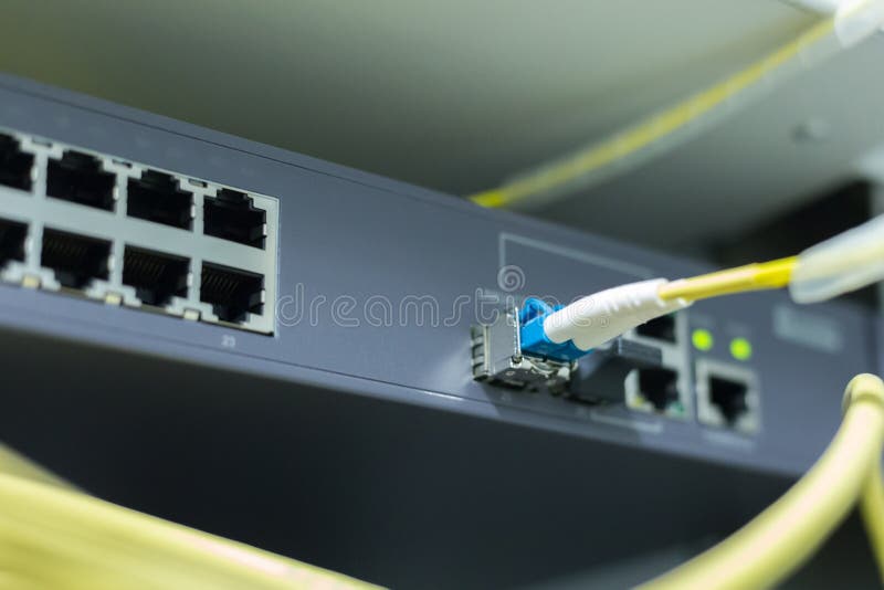 Information Technology Computer Network,