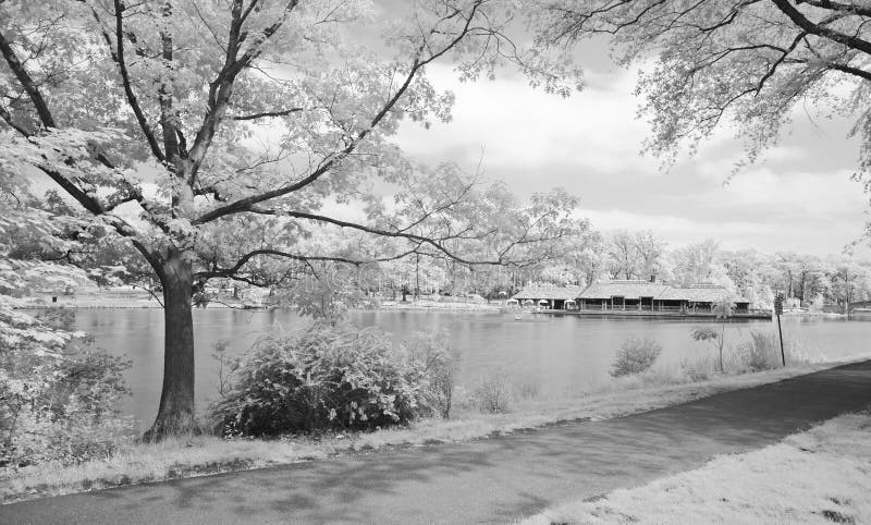 The infrared dreamy scenery