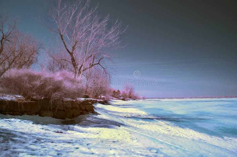 Infrared Landscape