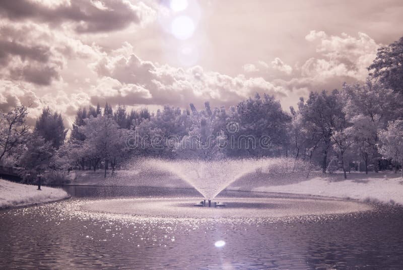 Infrared photo Trees and grass in Public park with pond royalty free stock image