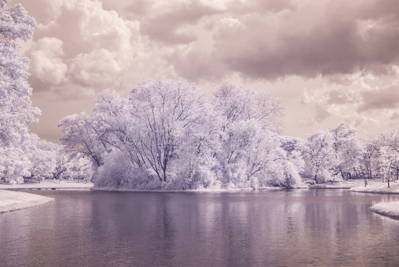 Infrared photo Trees and grass in Public park with pond royalty free stock images