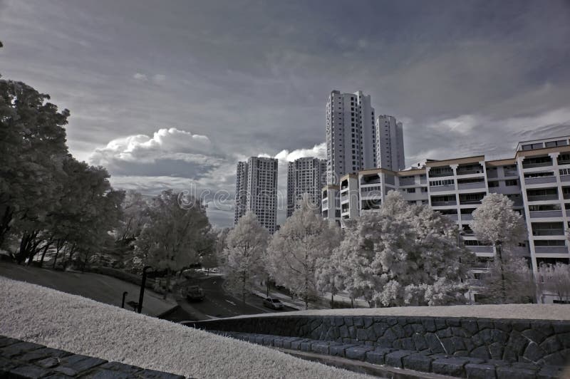 Infrared photo- walk path,flat