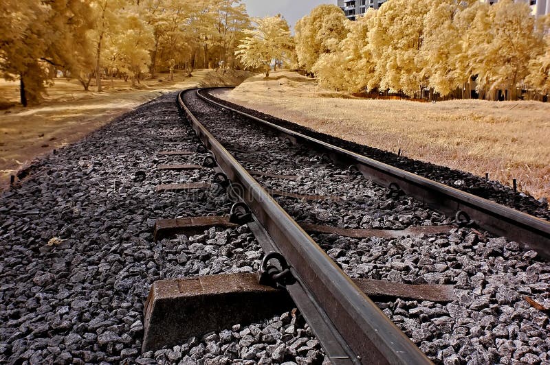 Infrared photo – railway, landscape, and tree