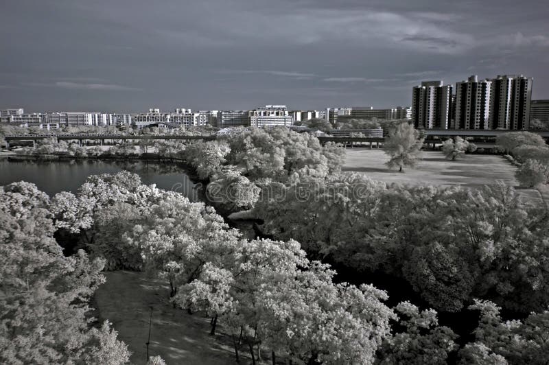 Infrared photo – tree, landscapes and apartment