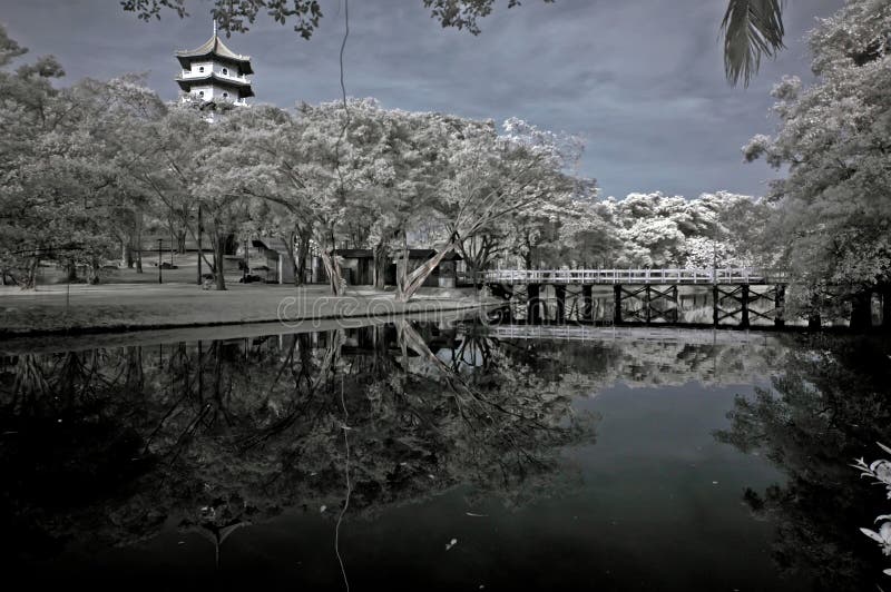 Infrared photo – tree, landscapes and pagoda