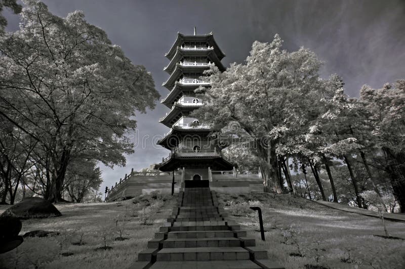 Infrared photo – tree, landscapes and pagoda