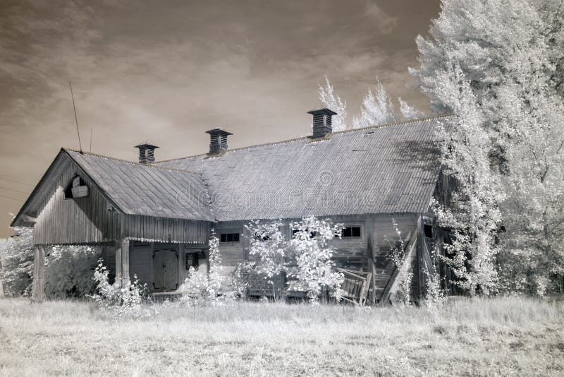 Infrared photography with a view house surrounded by mysterious white trees, royalty free stock images Infrared photography with a view house surrounded by mysterious white trees, royalty free stock images