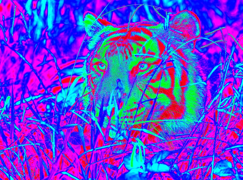 Infrared Tiger.