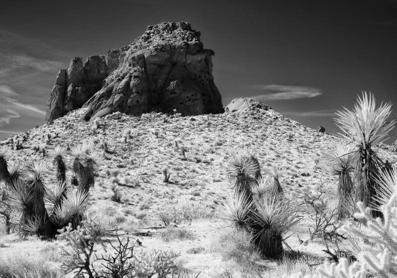 Monolith rises above the desert floor, Mojave National Preserve, infrared. Monolith rises above the desert floor, Mojave National Preserve, infrared