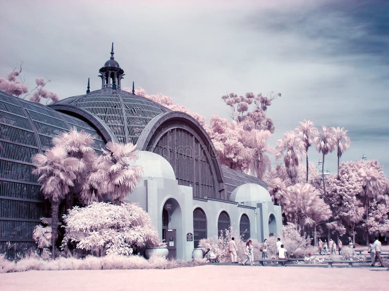 Infrarotszene des Balboa-Park-botanischen Gartens stockbild